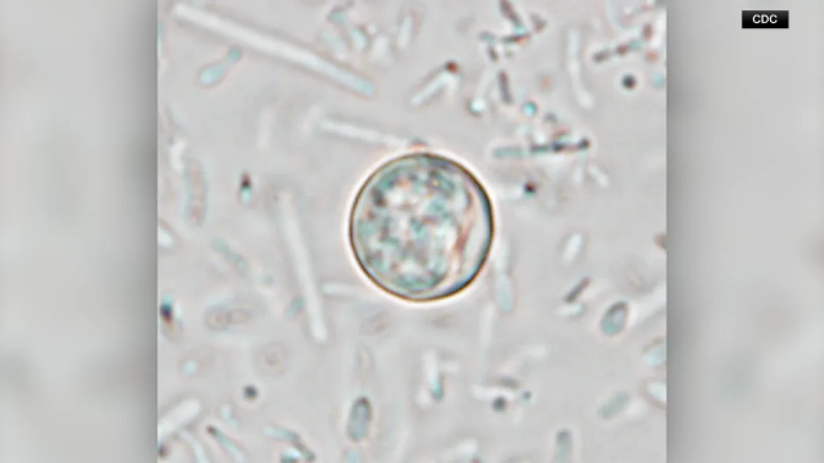 Cyclosporiasis cases at 54 in Harris County; 10 additional cases in Houston, health officials say