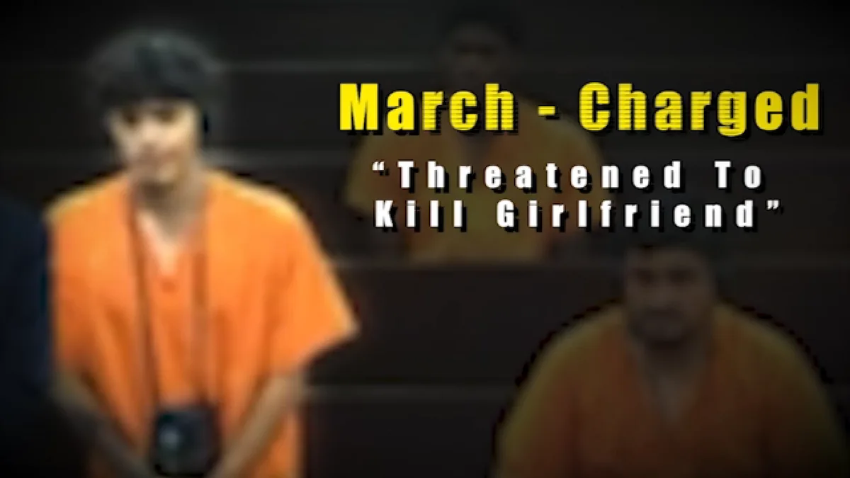 Teen accused of stabbing girlfriend, killing her dog while under no-contact order: Charging docs