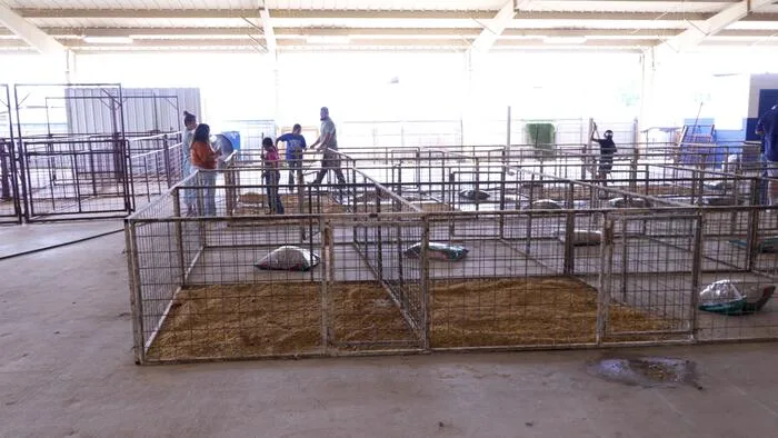 New animals coming to Somerset ISD AG Barn after 16 show animals killed, 4 injured in dog attack