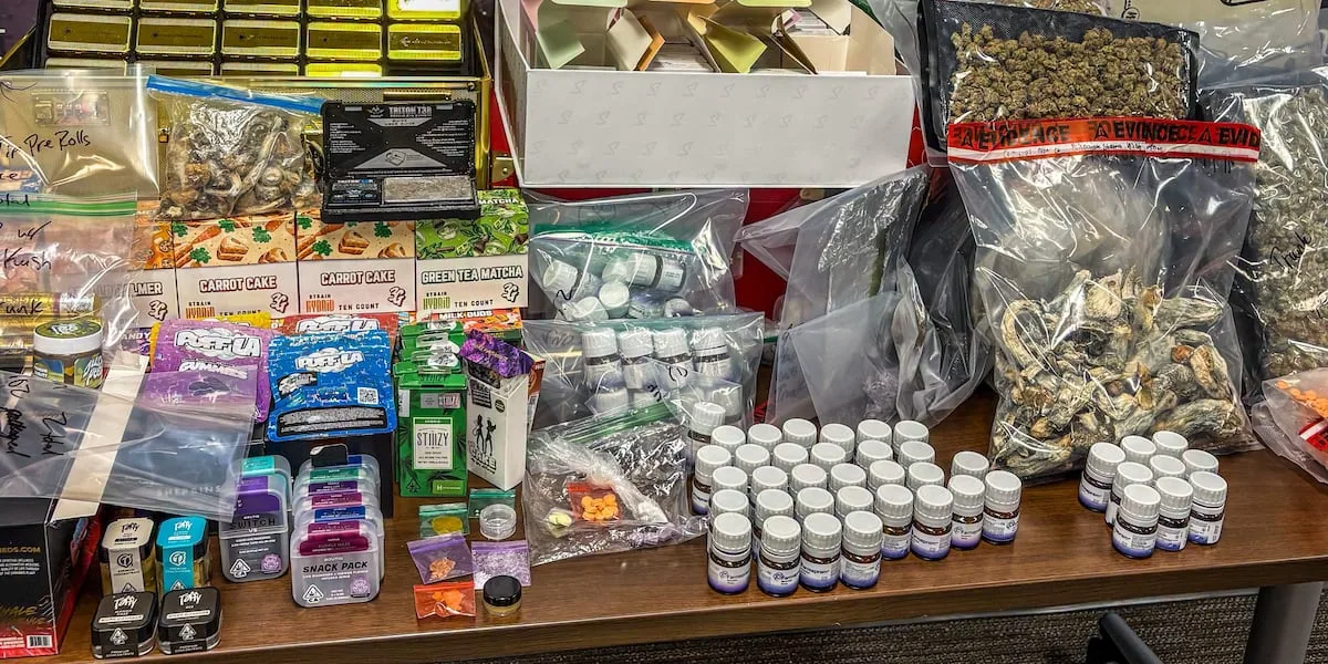 College Station Police K-9 unit finds massive number of drugs in traffic stop