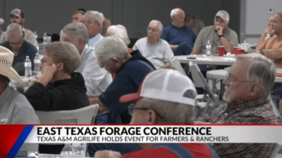 Texas A&M AgriLife hosts East Texas forage conference