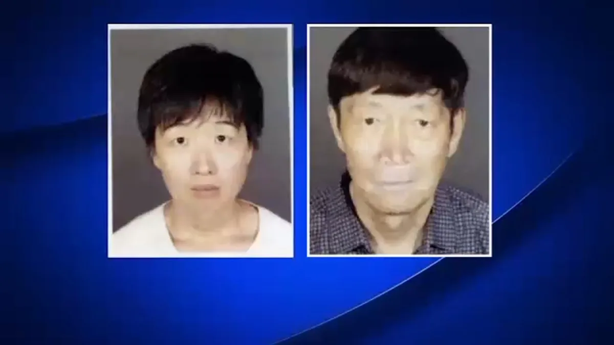 Couple accused in surrogacy scandal to seek release from jail, attorneys say