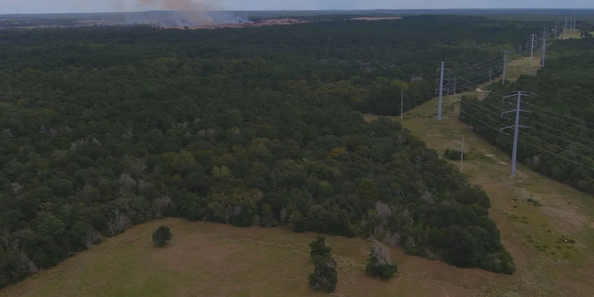 Land clearing already underway near Terafab site in Grimes County