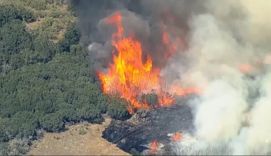 Ross Fire: Flames reach 100 feet as crews battle 4,000-acre wildfire