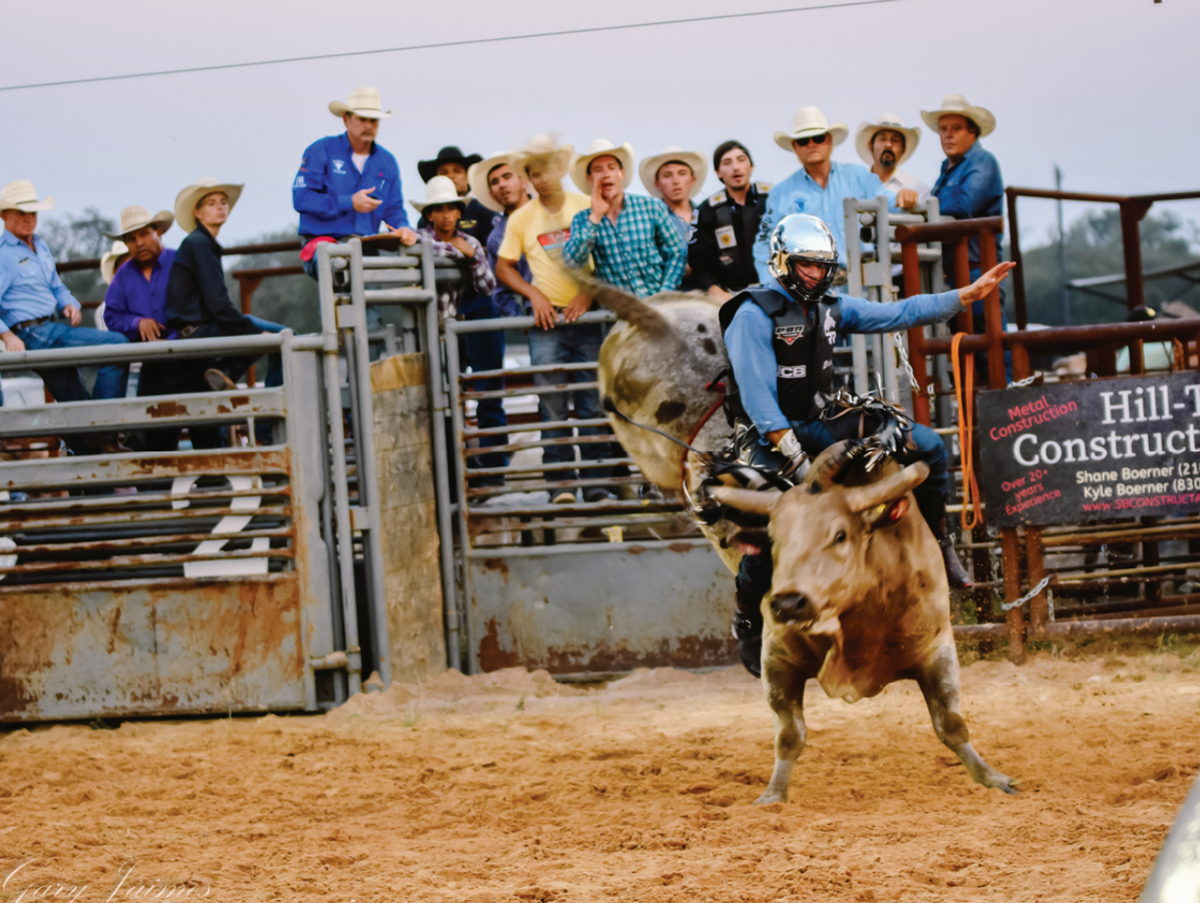 COUNTY FAIR: KICK UP YOUR HEELS!