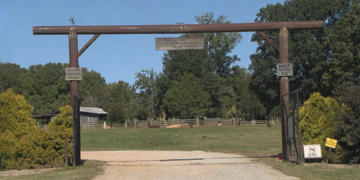 Woman dies after falling from horse-drawn wagon at a ranch, family says
