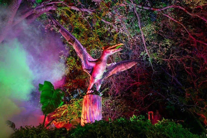 San Antonio Zoo to add more Dinos After Dark dates after large, 'stressful' crowds