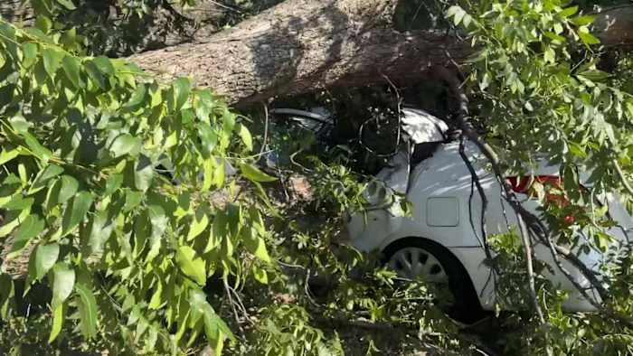 Storm damage leaves West Side neighbors in the dark, hoping power restored soon