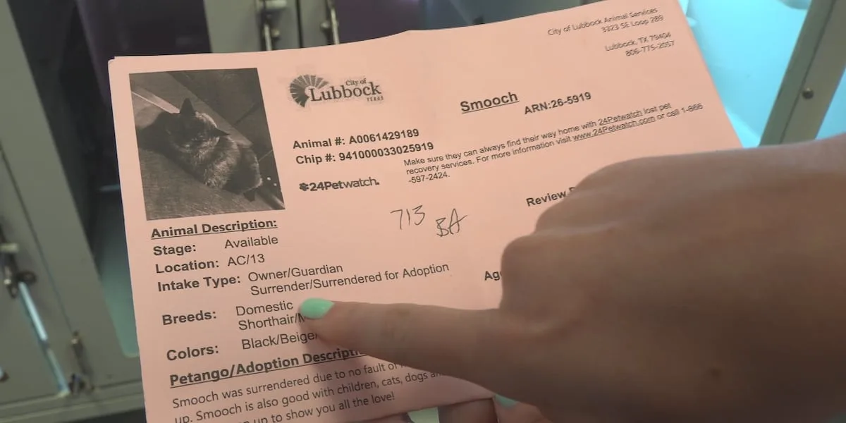 LAS sees sharp rise in pet surrenders, urges owners to explore options first
