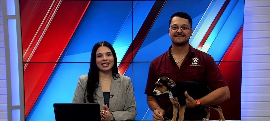 Pet of the week: Mariana makes waves
