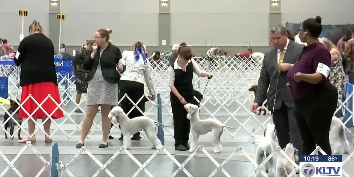Dog show in Longview brings families together