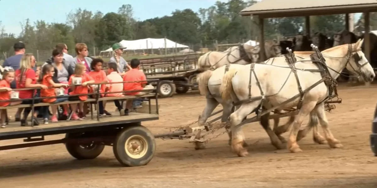 3 injured after horse jumps during wagon ride at popular North Carolina drive-thru zoo