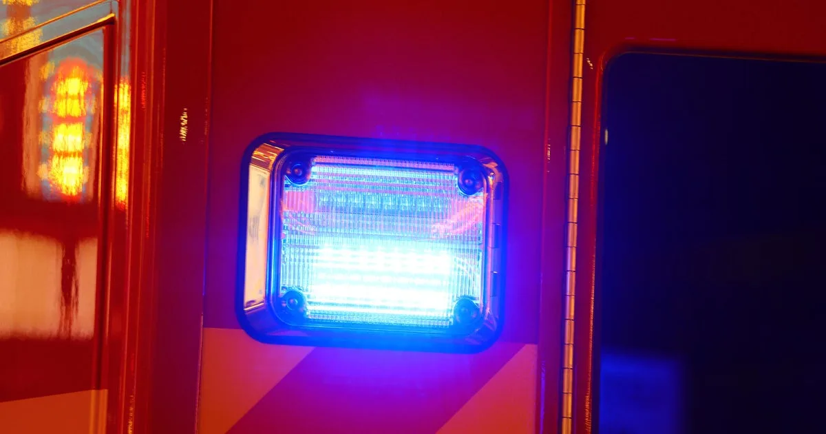 Man drowns while trying to rescue dog from Denton pond, officials say