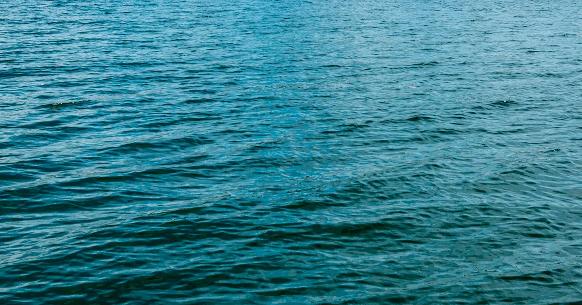 Authorities ask for help identifying body found in popular North Texas lake