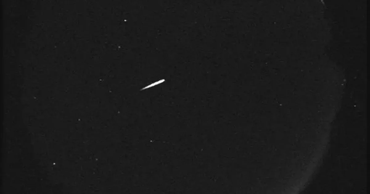 Look up tonight: The Orionids meteor shower peaks as debris from Halley's comet lights up the night sky
