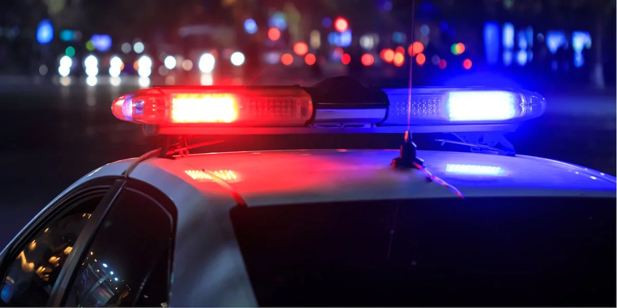 Police investigating dismembered body in Bartlett, suspect in custody