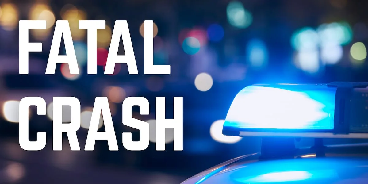 Zapata County pedestrian killed in U.S. 83 crash