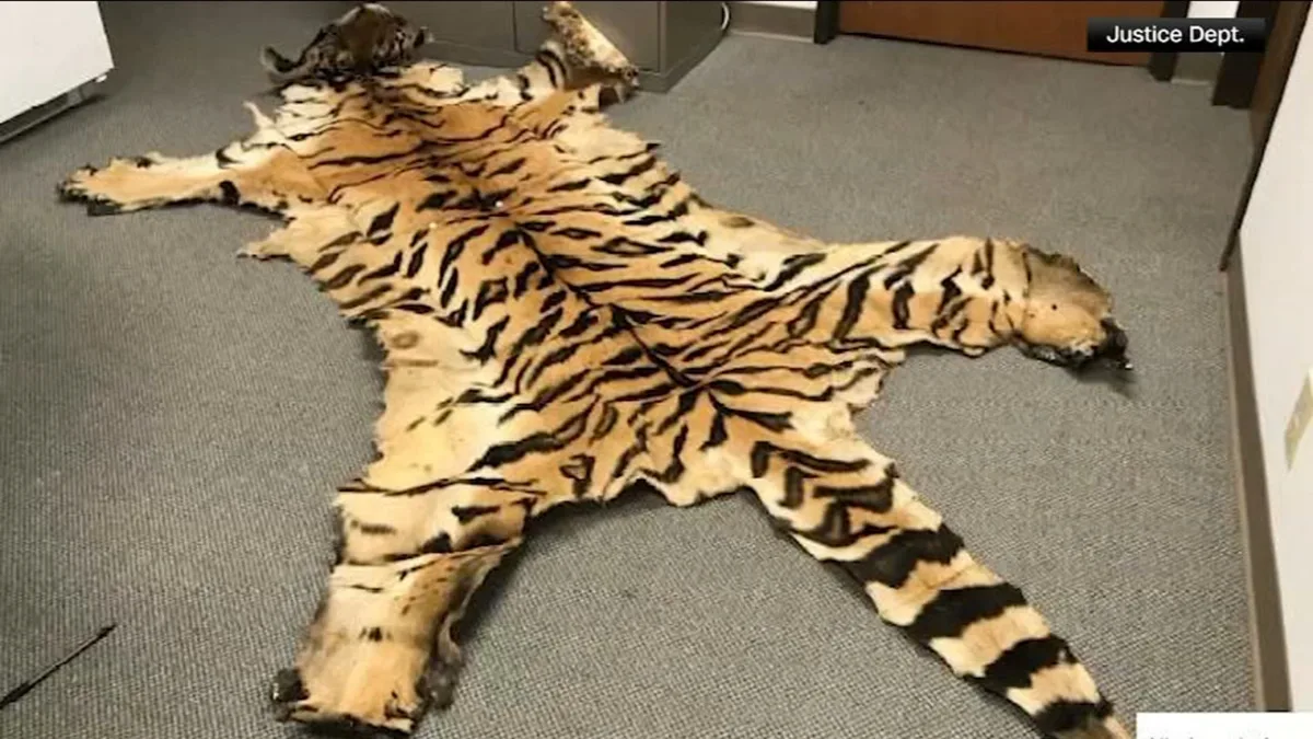 California couple pleads guilty to trafficking wildlife
