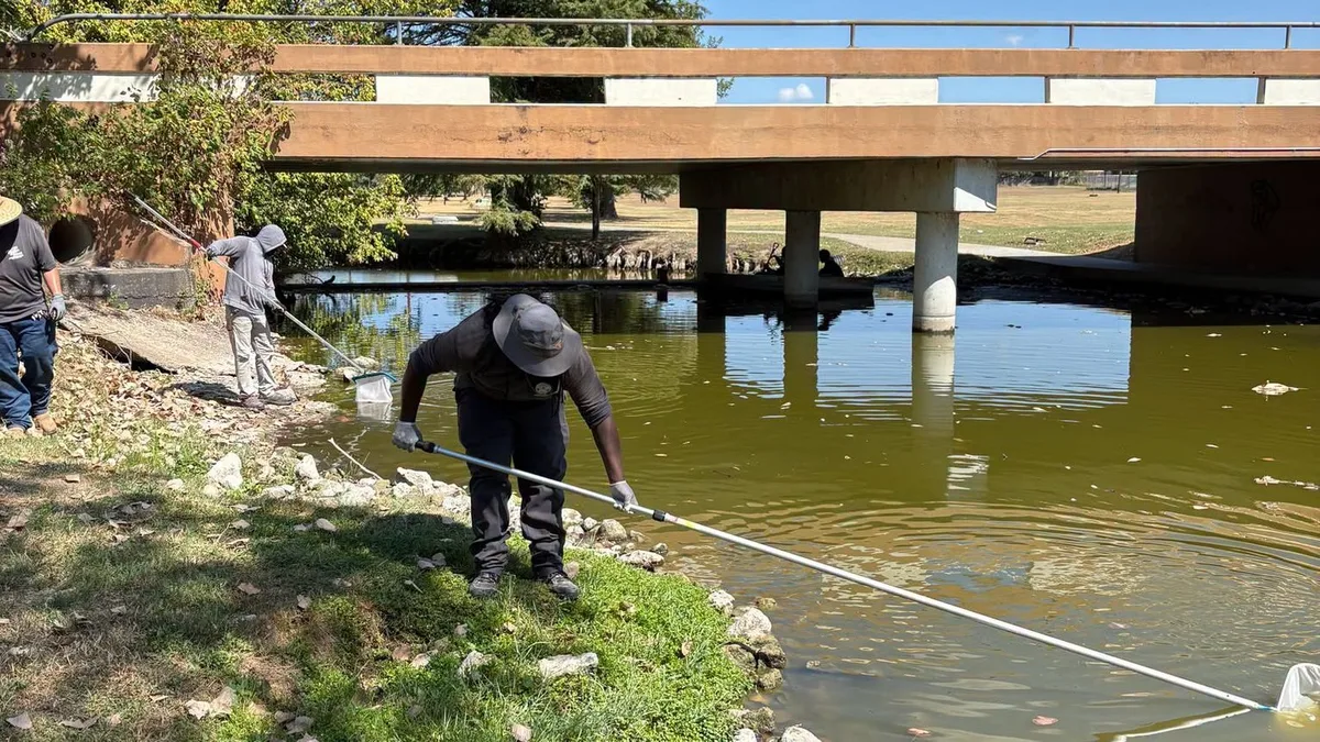 Cleanup continues after fish die-off at Murphy Park pond