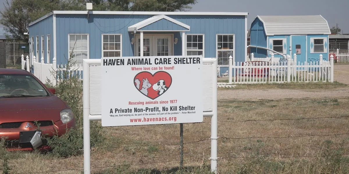The Haven Animal Care Shelter facing $10K vet bill after saving two puppies on brink of death