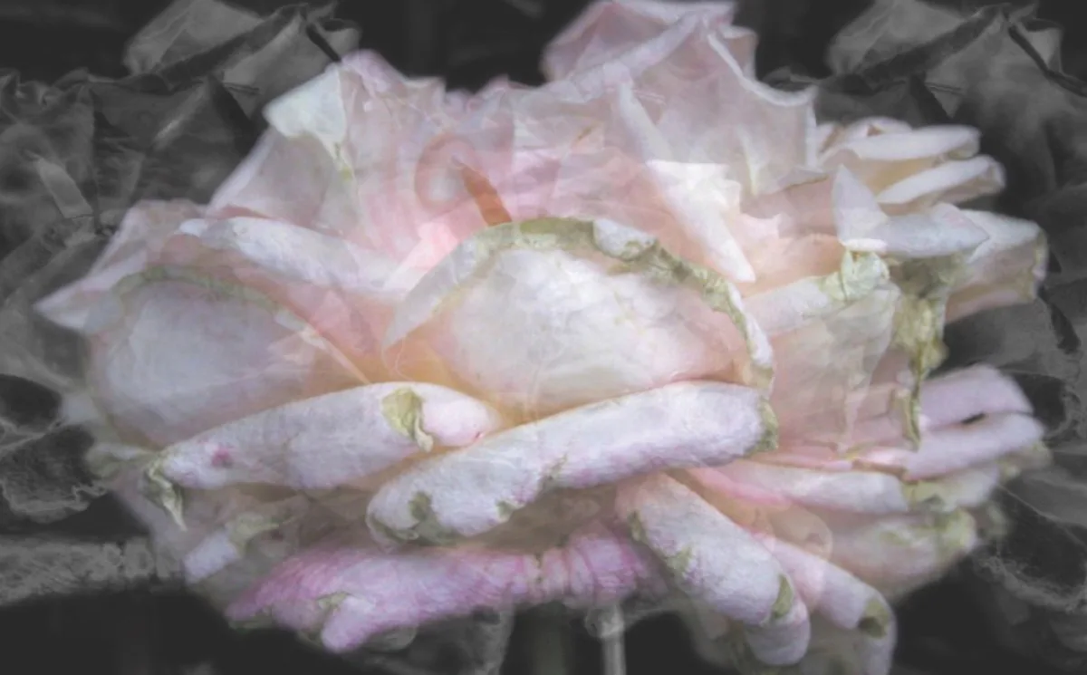 Time slips sideways in San Antonio artist Trish Simonite's 'Exquisite Entropy'