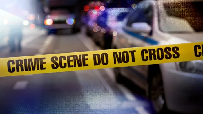 1 dead, 3 hospitalized after vehicle fleeing HCSO crashes in north Houston