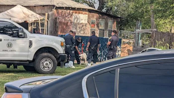 18 abandoned dogs seized from far SW Bexar County property once described as 'puppy mill'