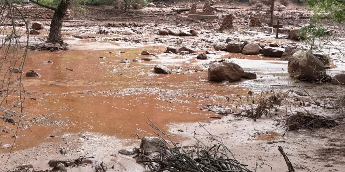 Dozens rescued, about 15 missing after Grand Canyon flash flood