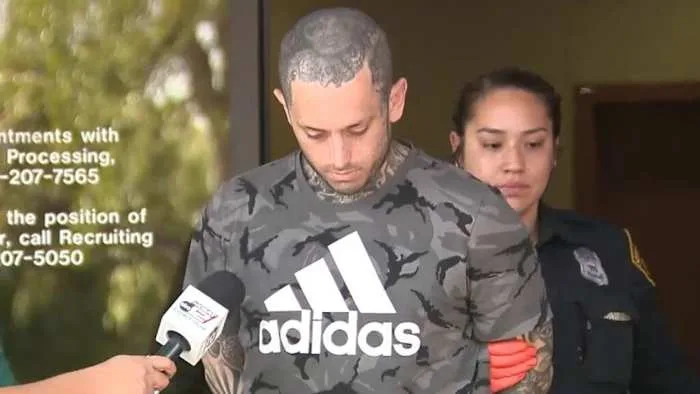 Accused kitten killer takes plea deal, sentenced to 5 years of deferred adjudication