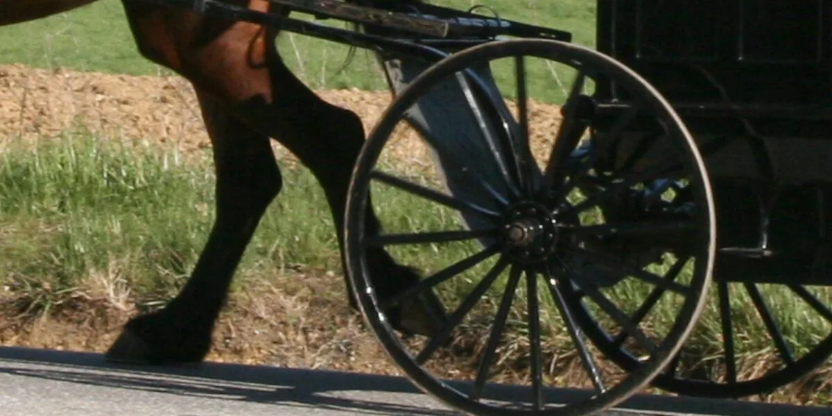 7 injured, horse euthanized after SUV hits horse-drawn buggy