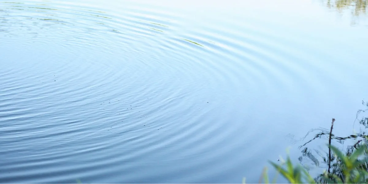 Student found dead in pond just months before starting senior year of high school