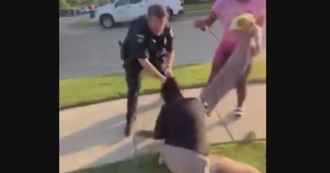 Alleged victims from Royse City pool incident to view police video of confrontation Wednesday