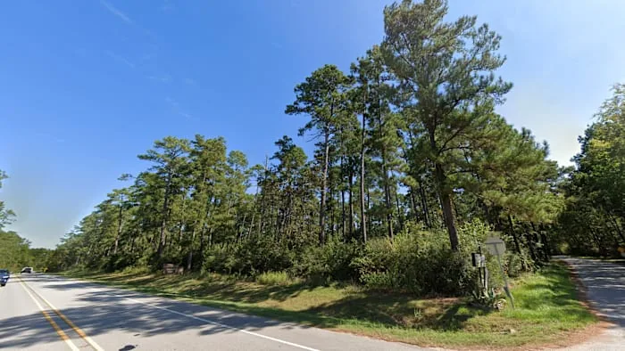 4,000 acres of Sam Houston National Forest could lose roadless protections