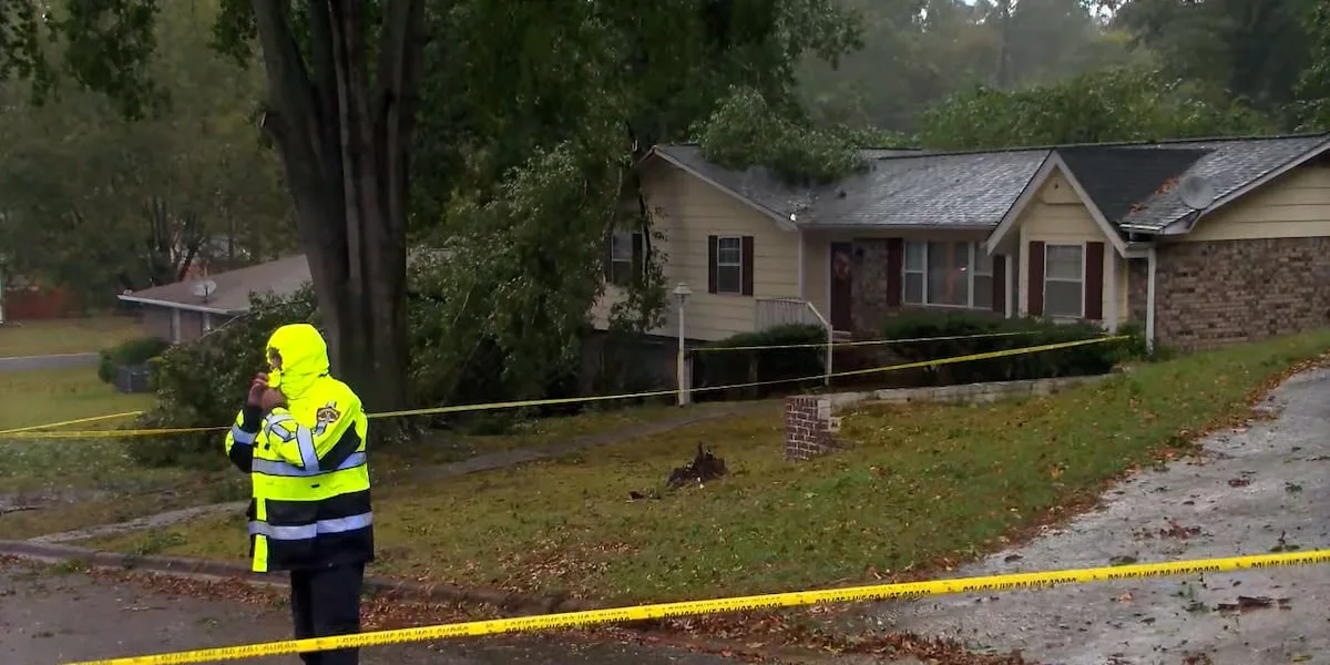 Person dies in Alabama after tree falls on home in path of Hurricane Isaias, authorities say