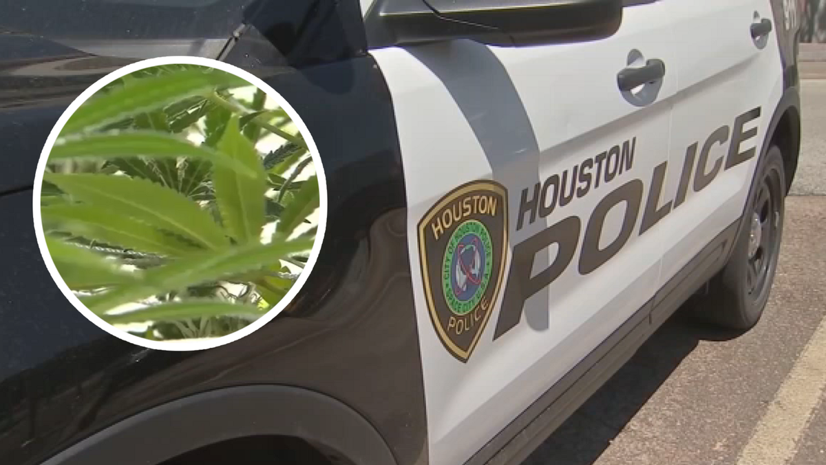 Houstonians to vote on making misdemeanor marijuana posession "lowest law-enforcement priority"