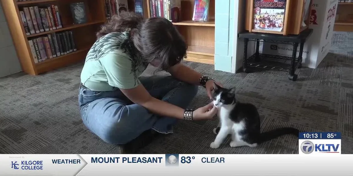 Grand Saline council votes to relocate library cat Pip