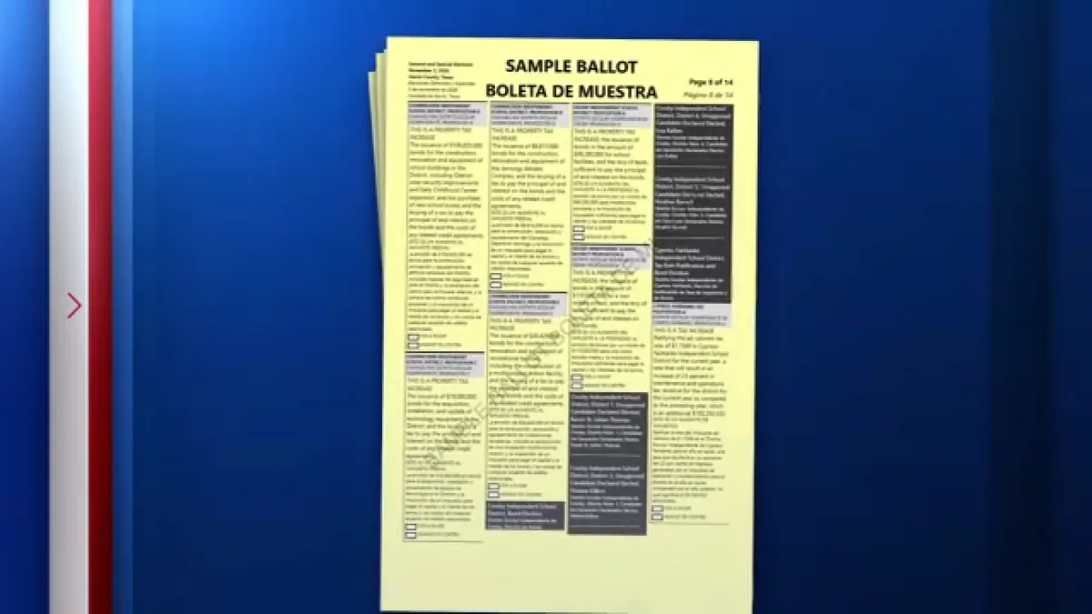 Flock cameras, tax rates, marijuana: Here are some of the policies that SE Texans will vote on