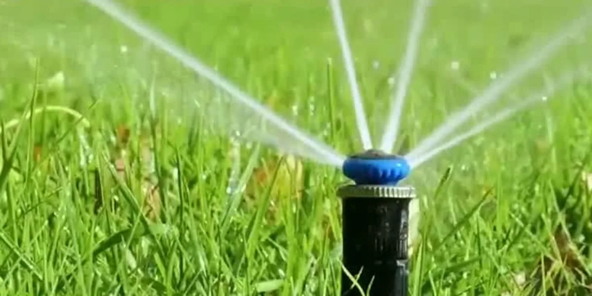 Your lawn may not need more water