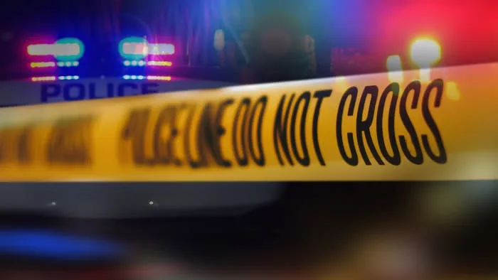 Human remains found in wooded area during search for missing man in Schertz, police say
