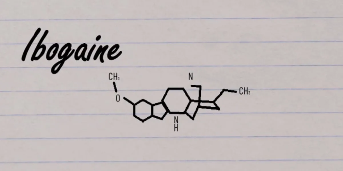 Texas leaders push for ibogaine research as veterans share stories of recovery