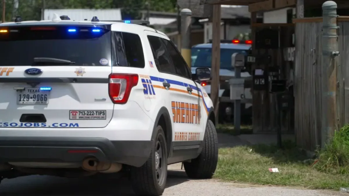 Siblings shot and killed by sister's ex-boyfriend identified, HCSO says