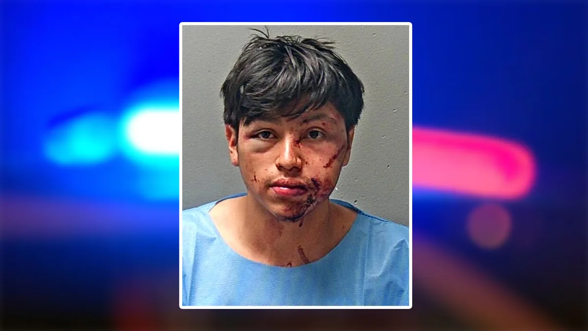 Suspect seen bloodied in mugshot after Fort Worth hit-and-run injures 2