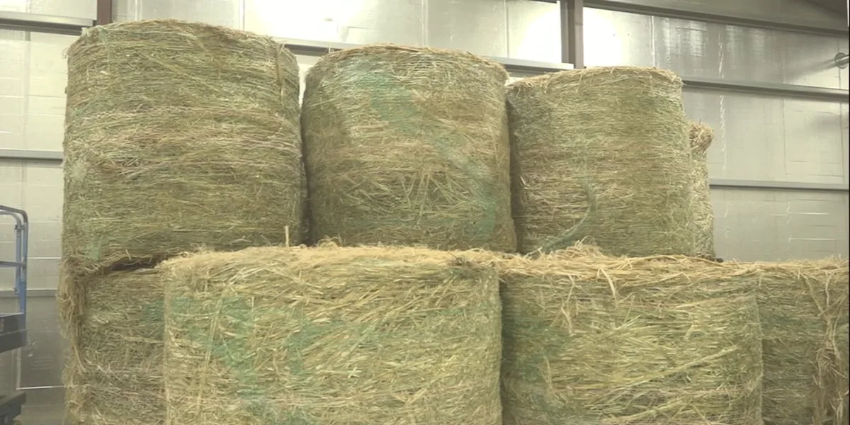 Senate committee advances Agricultural Act of 2026