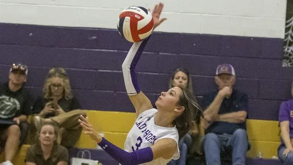 Playoff-bound Early volleyball drops district finale to Peaster