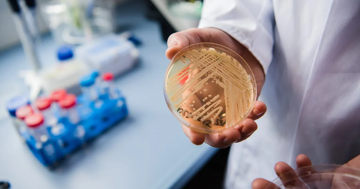 New study reveals why dangerous fungus is so difficult to treat