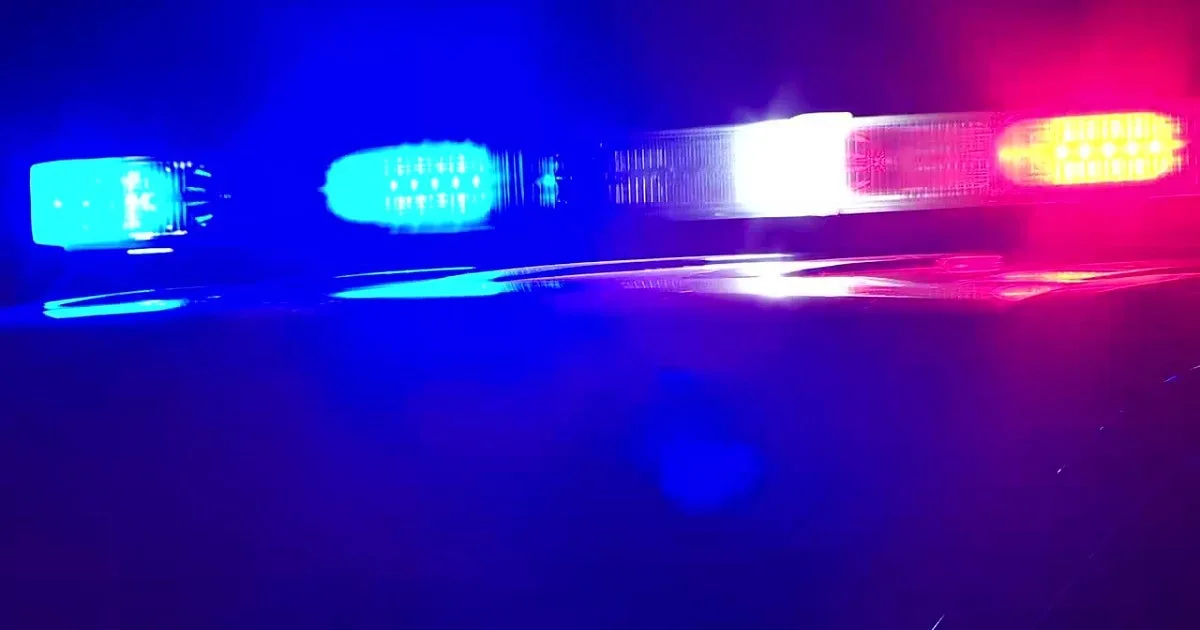 South Carolina police officer dies, 2nd officer hurt in gun battle at park, chief says