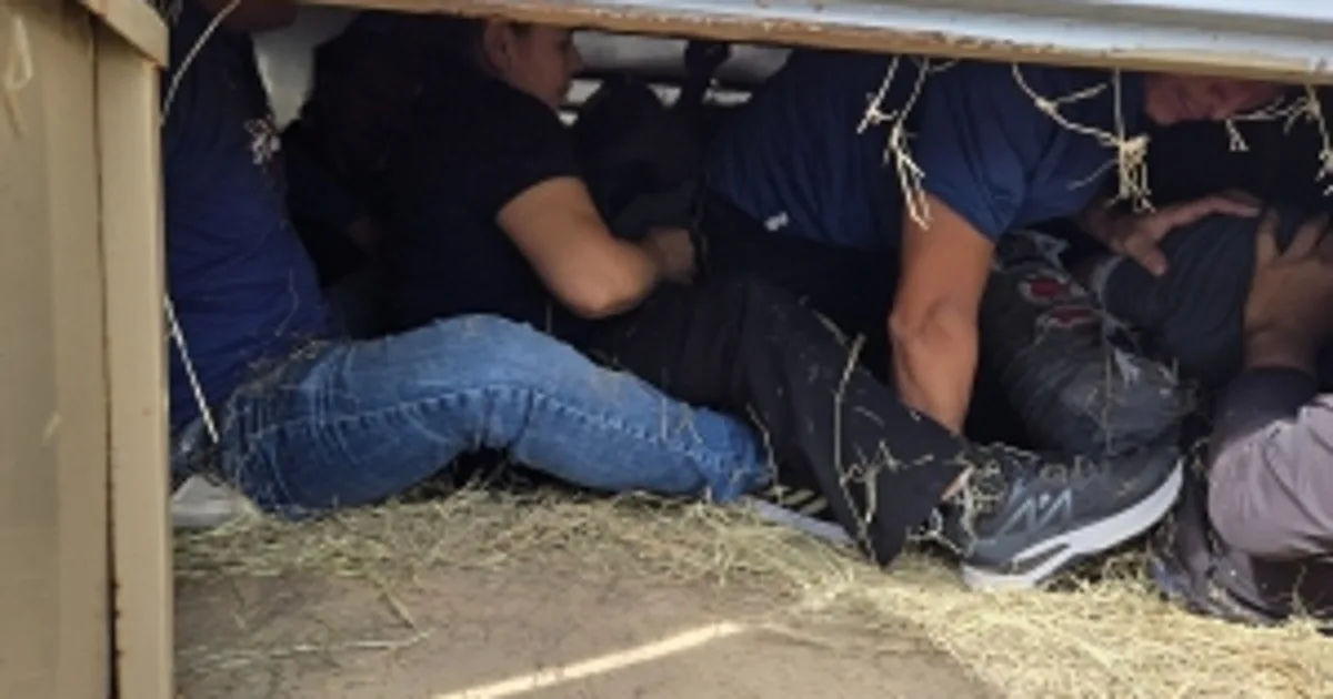 Texas man found guilty of smuggling migrants in cattle trailer behind hay bales