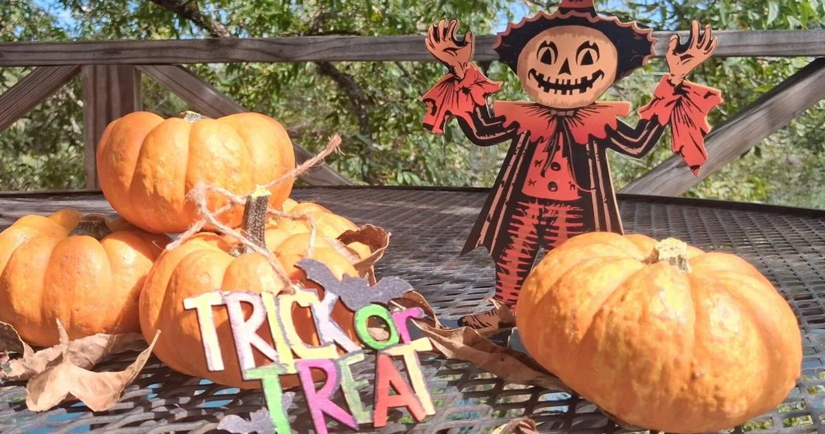 Celebrating all things autumn with HCAF