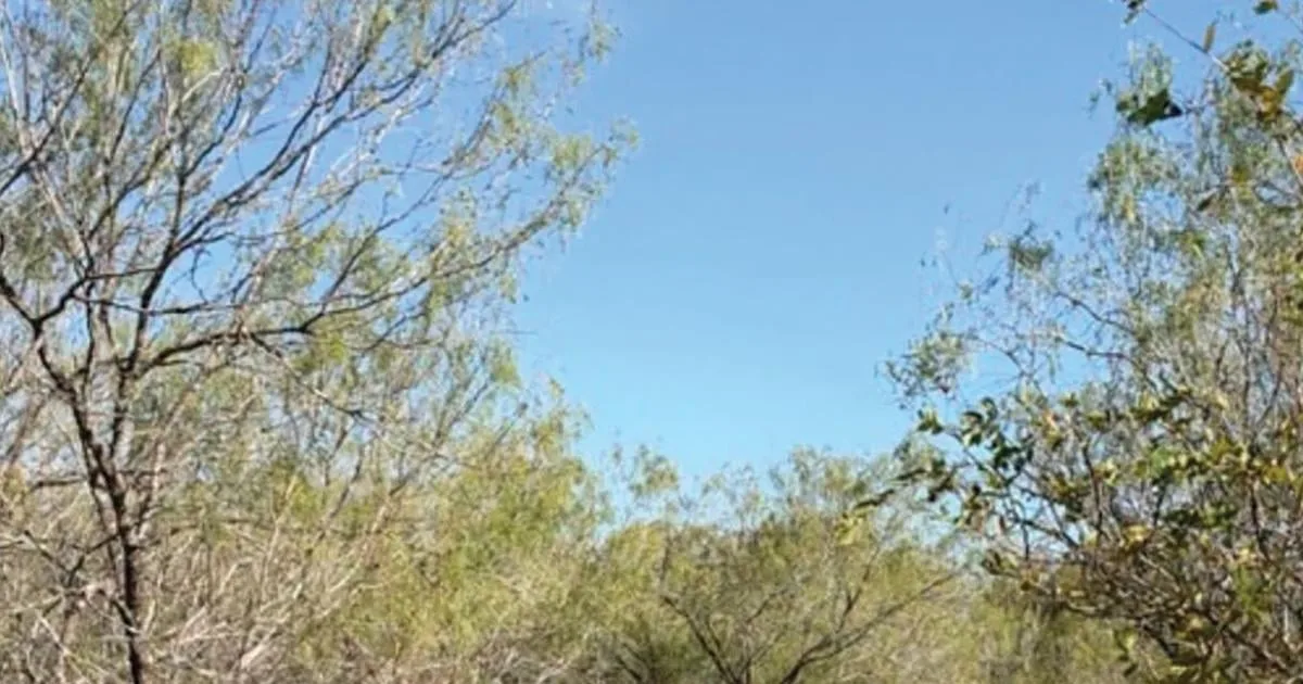 City of New Braunfels officially opens natural-surface trails at Northwest Park