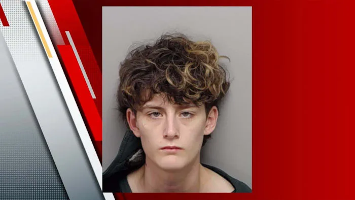 Records: Woman, 18, faces 2 felony charges after allegedly pistol-whipping girlfriend, firing shots